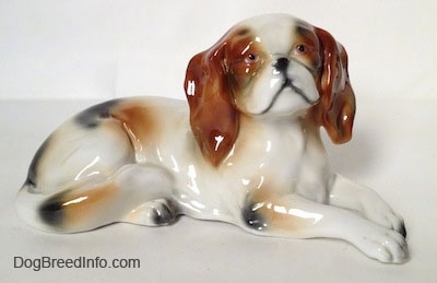 The right side of a white with brown and black Cavalier King Charles Spaniel figurine that is laying down. The figurine has detailed eyes a black nose, ears that hang down to the sides, and black painted lips.