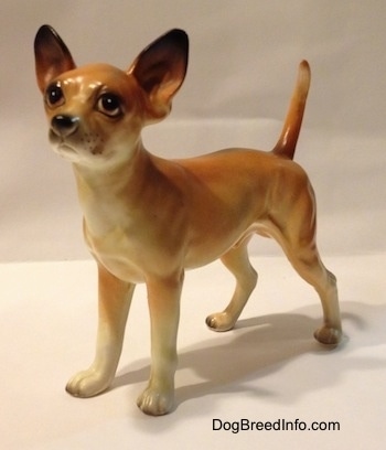 The front left side of a porcelain tan with white Chihuahua figurine. The figurine has fine details.