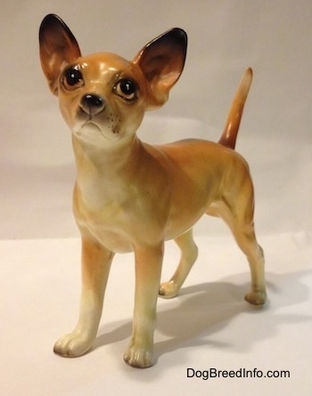 A porcelain tan with white Chihuahua figurine. The figurine has really detailed paws.