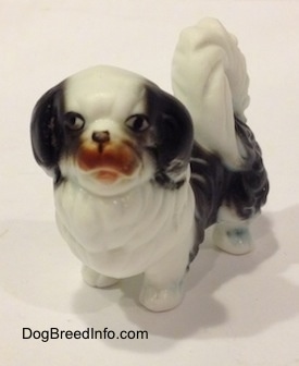 A white and black bone china Japanese Chin dog figurine. The figurine has a brown mouth.