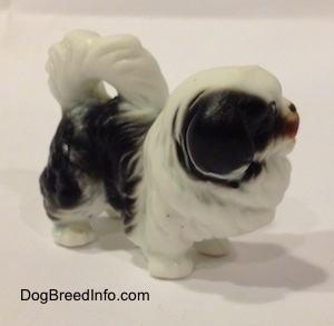 The front right side of a black and white bone china Japanese Chin dog figurine. The ears of the figurine are hard to differentiate from the head.