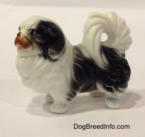 The left side of a white and black bone china Japanese Chin dog figurine. The tail of the figurine is curled on to the figurines back.
