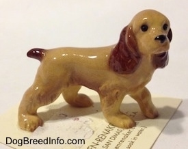The right side of a tan with brown ceramic Cocker Spaniel figurine. It has detailed black circles for eyes.