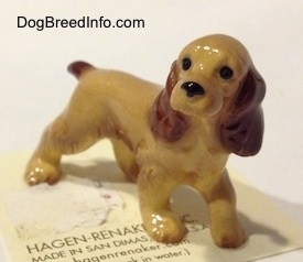 The front left side of a tan with brown ceramic Cocker Spaniel figurine. It has very detailed ears.