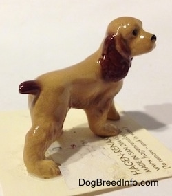 The back right side of a tan with brown ceramic Cocker Spaniel figurine. It has light hair brushings.