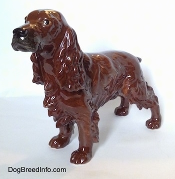 The front left side of a brown with black Cocker Spaniel porcelain figurine. It has black circles for eyes and a black nose.