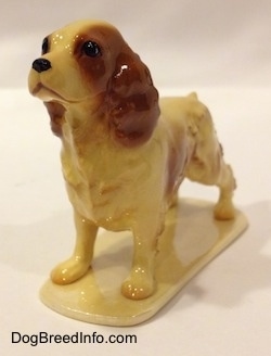 The front left side of a tan with brown ceramic Cocker Spaniel figurine. The hair on the figurine has fine details.