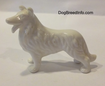 The left side of a bone china Rough Collie figurine that is white. The figurine was created with its mouth open.