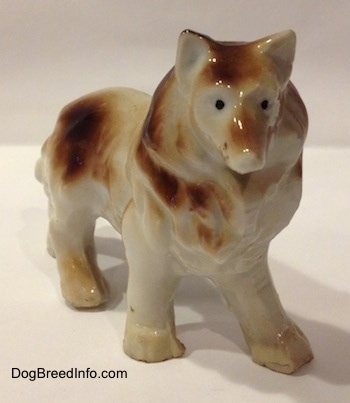 The front right side of a brown and white porcelain Rough Collie figurine. The figurine has tiny black circles for eyes.