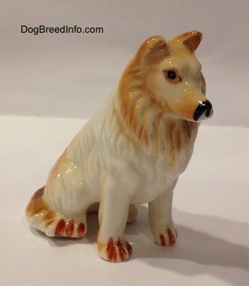 The front right side of a tan and white bone china Rough Collie figurine. The figurine is glossy.