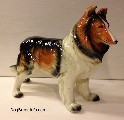 The front right side of a highly detailed ceramic black, brown and white Rough Collie figurine.
