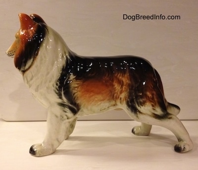 The left side of a black, brown and white ceramic Rough Collie figurine. The figurine is glossy.