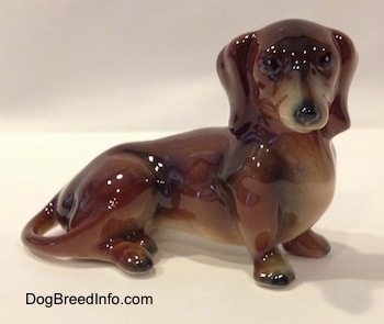 The right side of a brown and black Goebel Dachshund figurine in a sitting pose. The figurines tail wraps around to its leg.