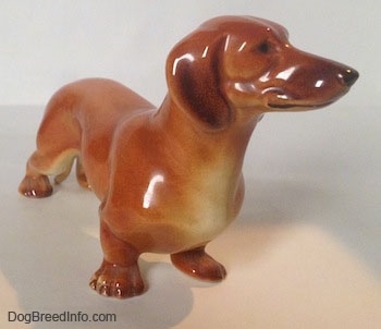 The front right side of a figurine that is of a brown Dachshund in a standing pose. The figurine is glossy.