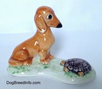 The right side of a figurine of a brown Dachshund in a sitting pose across from and looking down at a tortoise. The dachshund part of the figurine has big black circles for eyes.