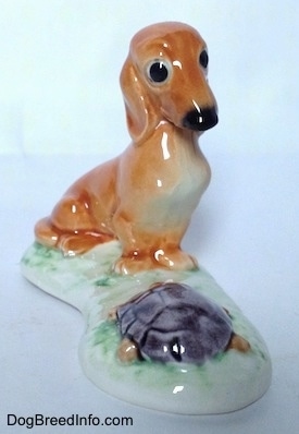 The front of a brown Dachshund in a sitting pose that is looking down at a tortoise figurine. The ears of the Dachshund part of the figurine has long ears and they are attached to the body.