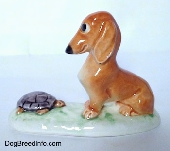 The left side of a figurine of a brown Dachshund in a sitting pose across from a tortoise and it is looking down at the tortoise.