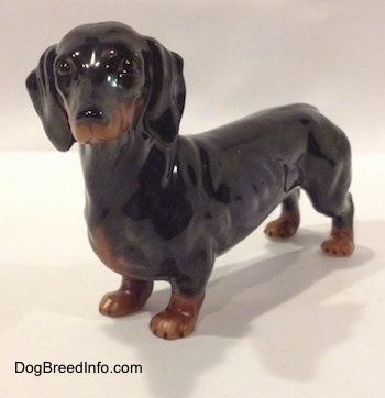 The front right side of a black and brown Dachshund figurine. The figurine has great face detail.