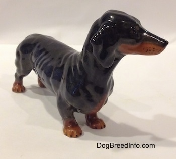 The front left side of a black and brown Dachshund figurine. The figurine has a very detailed body.