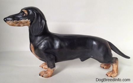The left side of a black with tan Dachshund figurine. The figurine is very glossy.