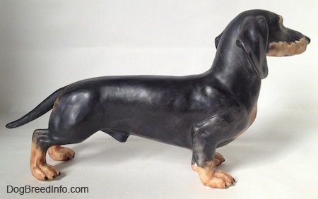 The right side of a black with tan Dachshund figurine. The figurine has great details.