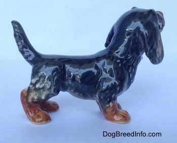 The right side of a black and brown Dachshund figurine in a standing pose. The figurine has a long body and an arched up tail.