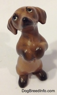 Top down view of a brown with black Dachshund puppy in a begging pose figurine. The figurines front paws are attached to its body and it has black paws.