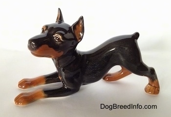 The left side of a black and tan porcelain Doberman Pinscher figurine that is in a play bow pose. The figurine has a short tail.