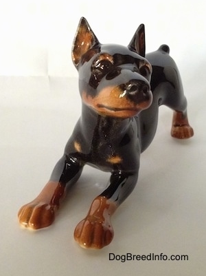 A black and tan figurine of a Doberman Punscher in a play bow pose. The figurine has a detailed face and cropped ears. Its nose and eyes are black.