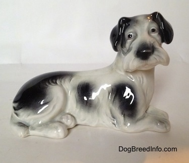 The right side of a white and black Doxie laying down figurine. The figurine has fine hair details. The dog has ears that hang down to the sides, a big black nose and a wide snout from a lot of thick hair.