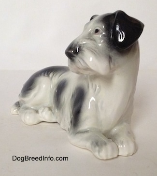 The front right side of a white and black Doxie laying down figurine. The figurine has a black nose.