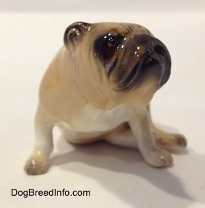 A tan and brown Bulldog figurine in a sitting pose. The figurine has a white chest.