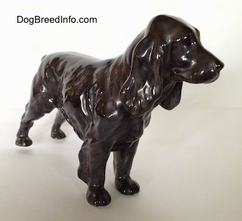 The front right side of a blue roan English Cocker Spaniel figurine. The figurine is very glossy and it has no paint on its face.