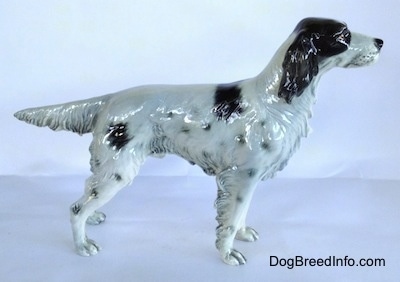 The right side of a figurine that is of a black and white English Setter in a standing pose. The figurine has a fringe hair details along the trim of its body and legs. It has long black ears, a long snout and a black nose.