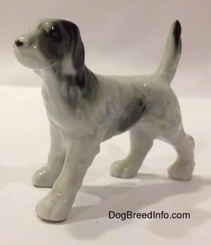 The front left side of a bone china black and white English Setter figurine. The figurines face lacks detail.