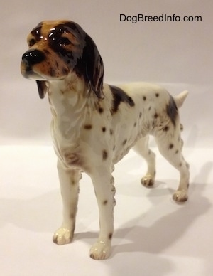 The front left side of a porcelain figurine of a brown and white English Setter. The figurine has great chest hair details.