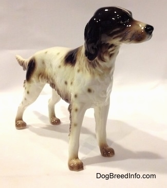 The front right side of a white with brown English Setter figurine that is in a standing pose. The figurine has a detailed face.