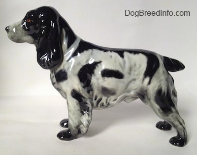 The left side of a black and white English Springer Spaniel figurine. The figurine has large ears that are black.