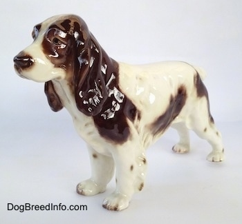 The front left side of a figurine of a white with brown English Springer Spaniel. The ears of the figurine are large, brown and glossy.