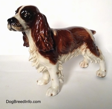 The front left side of a figurine of a brown and white with black English Springer Spaniel in a standing pose. The face of the figurine has a detailed face, it has black eyes and a black nose.