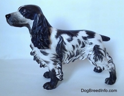 The left side of a black and white English Springer Spaniel figurine with a matte finish. The figurine has a detailed face, it has black eyes a black nose and muzzle.