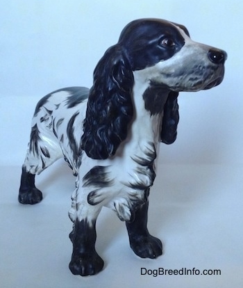 The front left side of a black and white English Springer Spaniel figurine with a matte finish. The figurine has black at the tips of its hair.