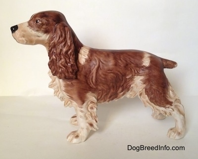 The left side of a brown and white English Springer Spaniel in a standing pose figurine with a matte finish. The figurine has fine face details.