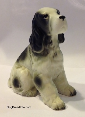 The front right side of a black and white English Springer Spaniel figurine in a sitting position. The figurine has small black eyes and a black nose.