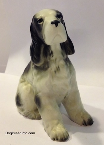 A black and white English Springer Spaniel in a sitting pose figurine. That