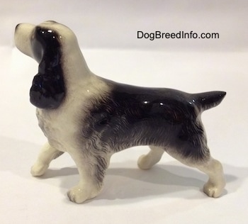 The left side of a figurine of a black with white English Springer Spaniel. The figurine has its tail out and it is level with its body.