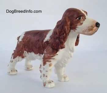 The front right side of a brown and white English Springer Spaniel figurine. The face of the figurine has great details.