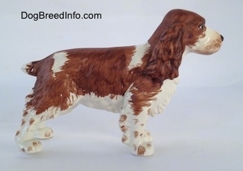 The right side of a figurine of a brown and white English Springer Spaniel. The figurine has long bushy brown ears.