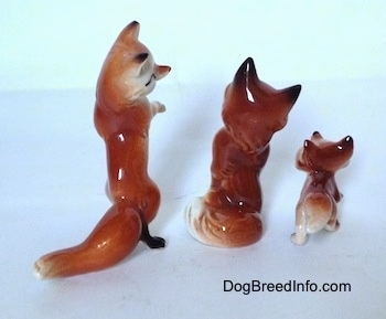 The back of three different Red Fox figurines. The back of all the figurines ears are black.