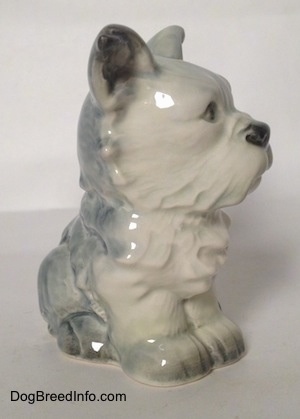 The front right side of a figurine of a white with black French Bull Tzu. The figurine has black tipped nails.